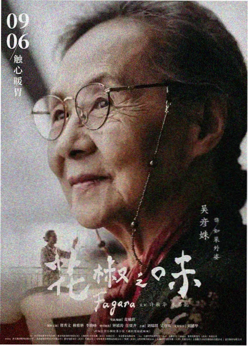 纸鸢与少年 治愈动漫全集免费看